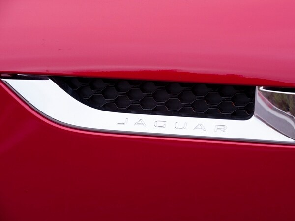 2014_jag_ftypes_063-600-001