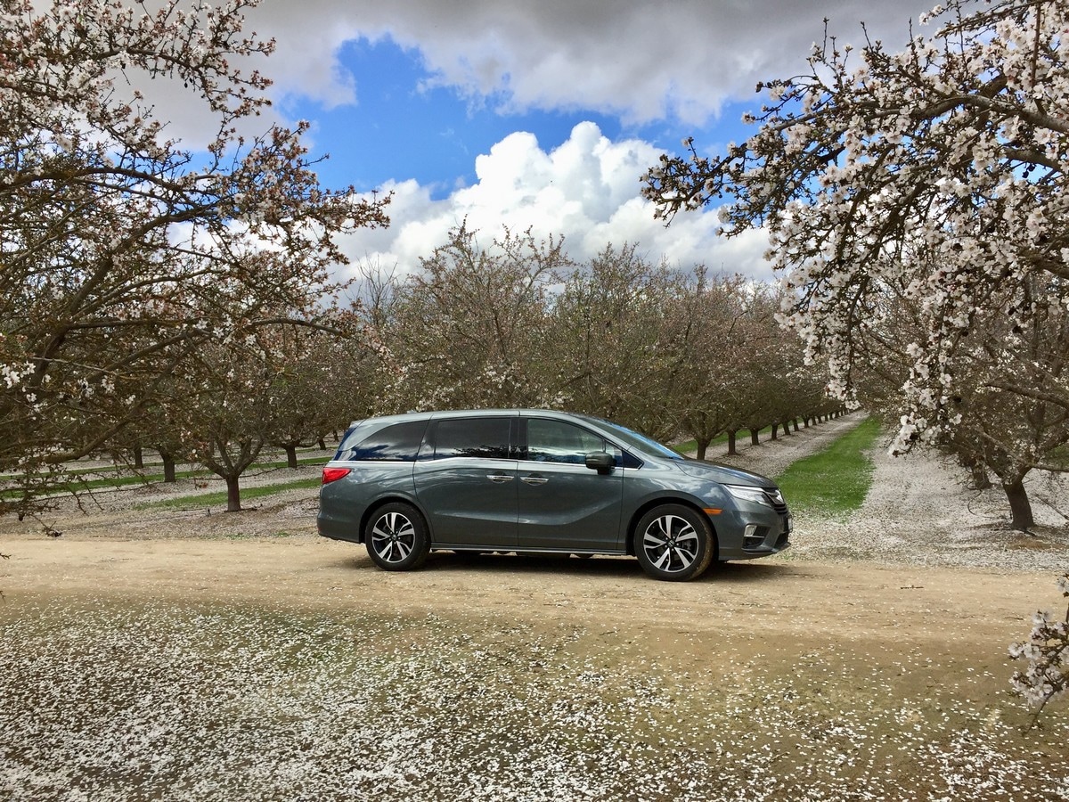 01 2018 Honda Odyssey Almonds