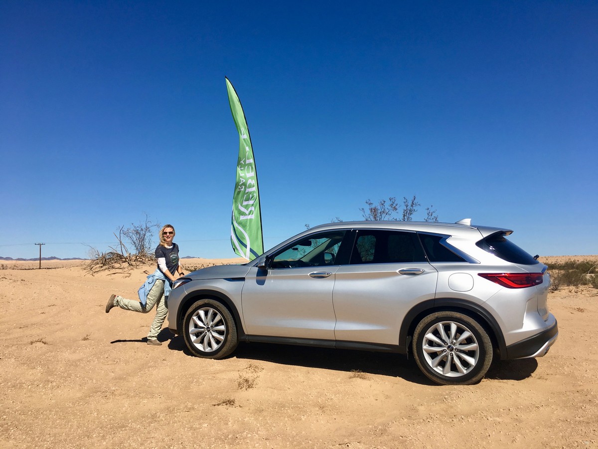 01 2019 Infiniti Qx50 Update 8