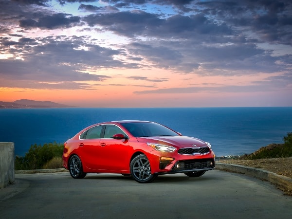 01 2019 Kia Forte Oem