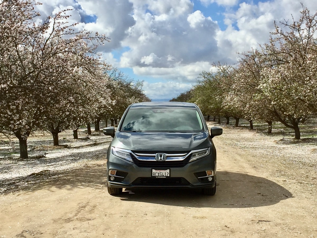 03 2018 Honda Odyssey Almonds