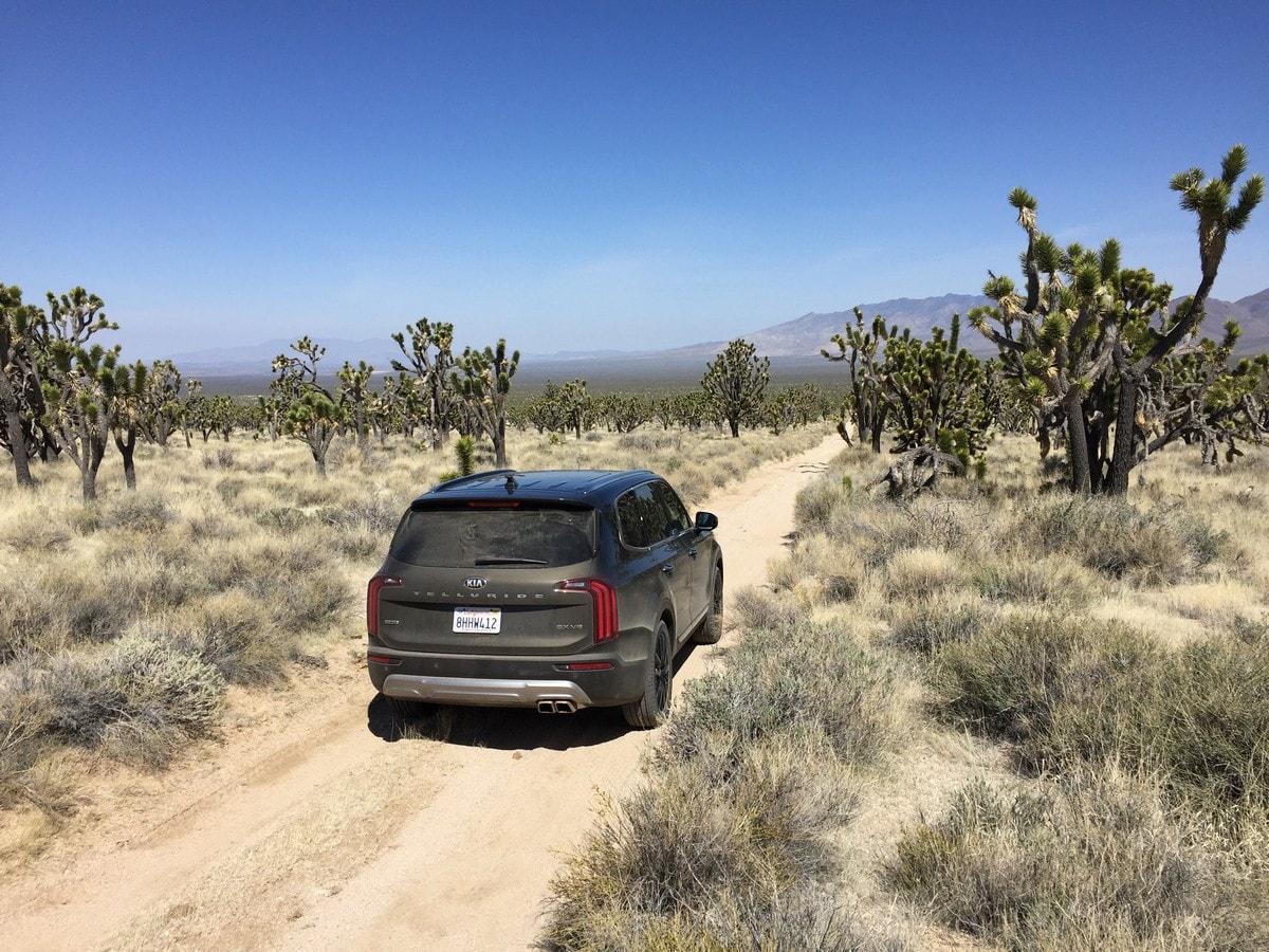 19 2020 Kia Telluride 1st Drive