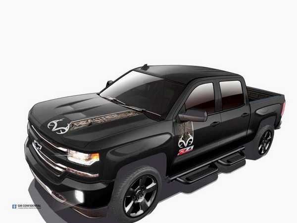 2016 Chevrolet Silverado 1500 Real Tree Edition 2