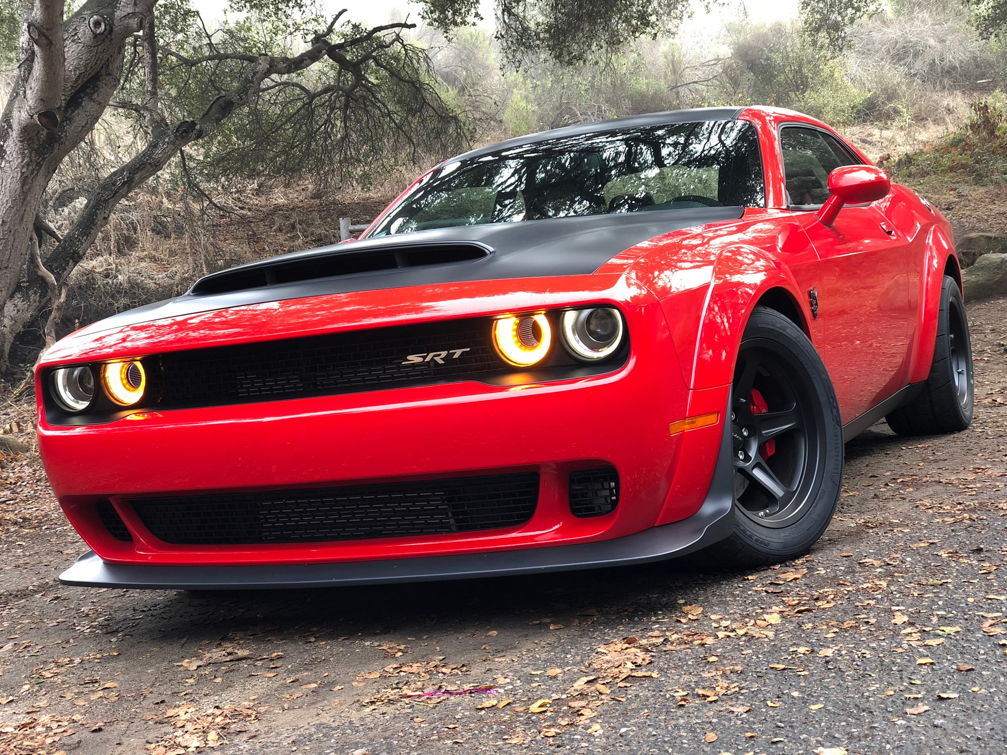 2018 Dodge Demon Front Trees