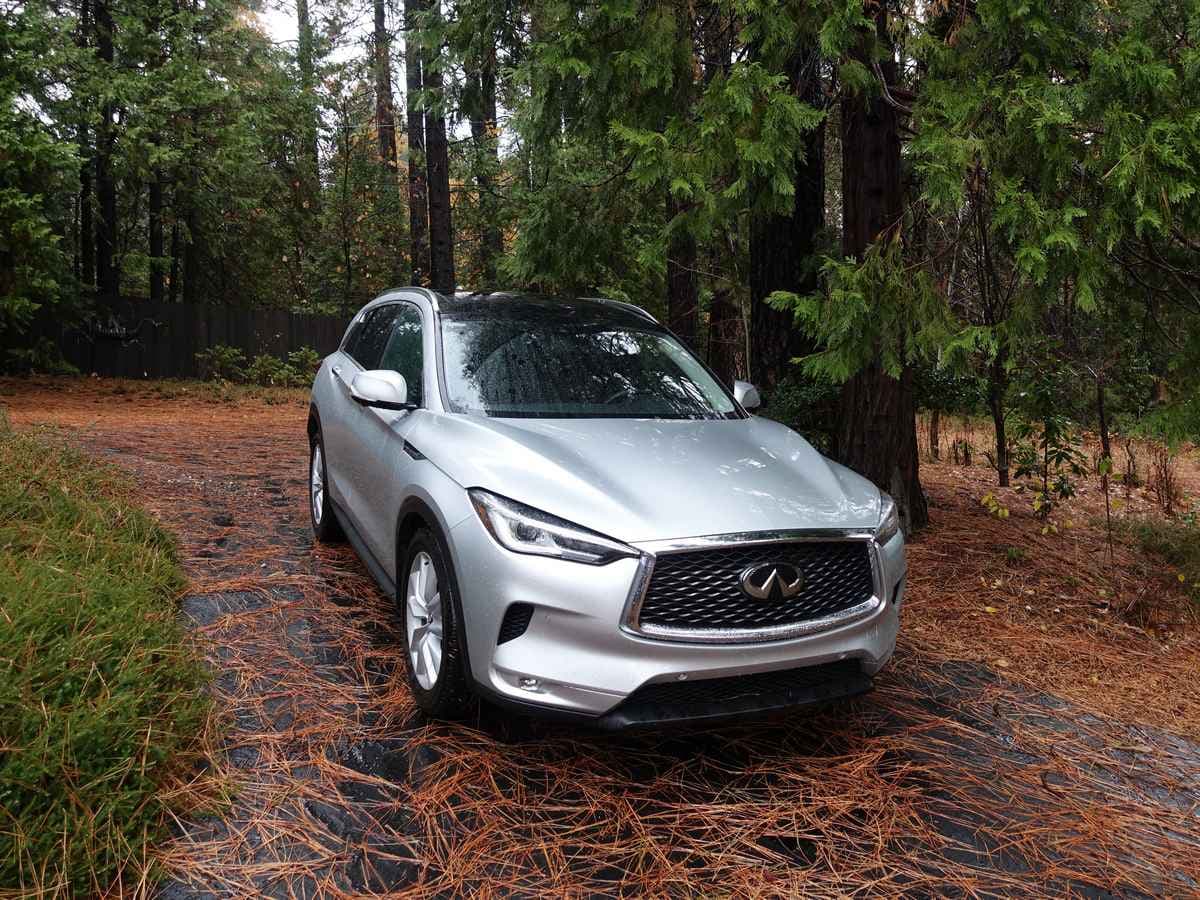 2019 Infiniti Qx50 Long Term Xmas 1