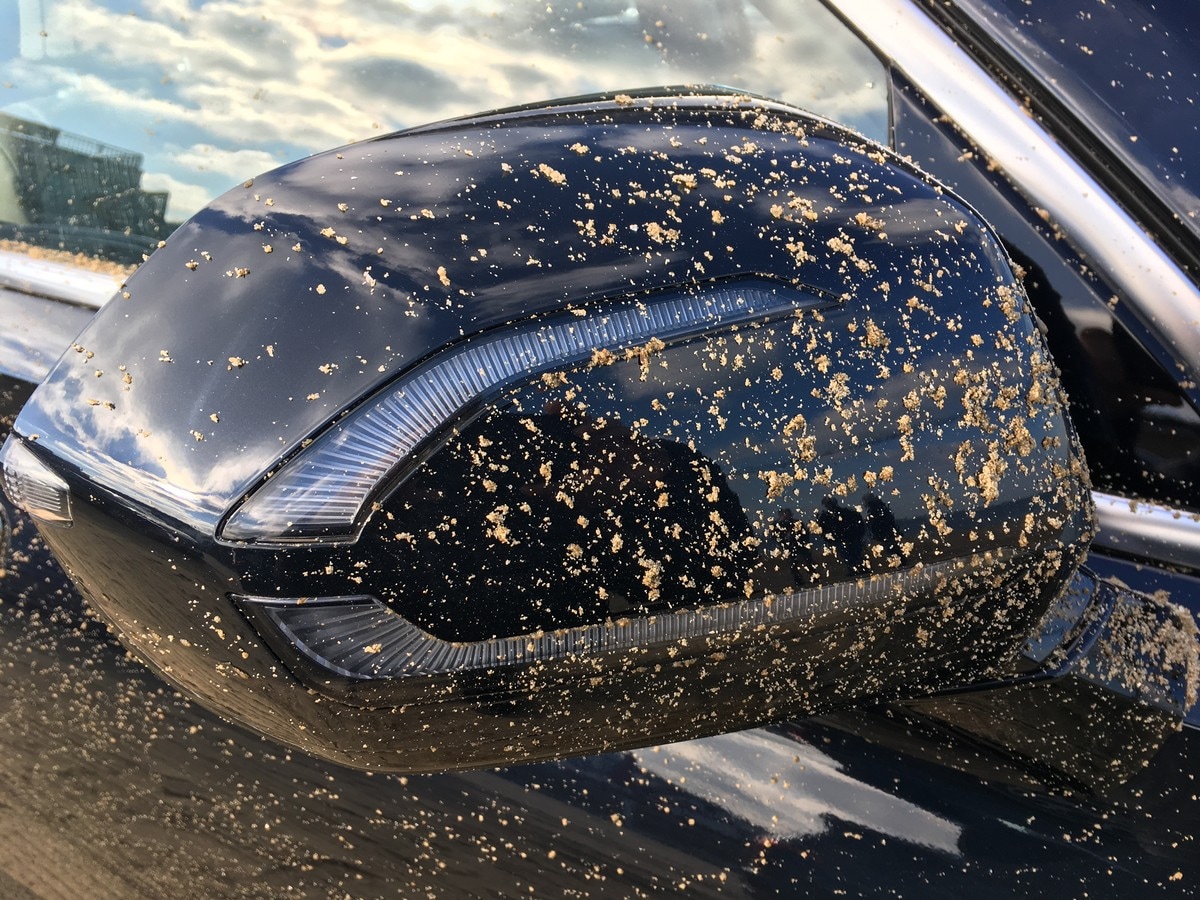 21 2020 Hyundai Palisade Review