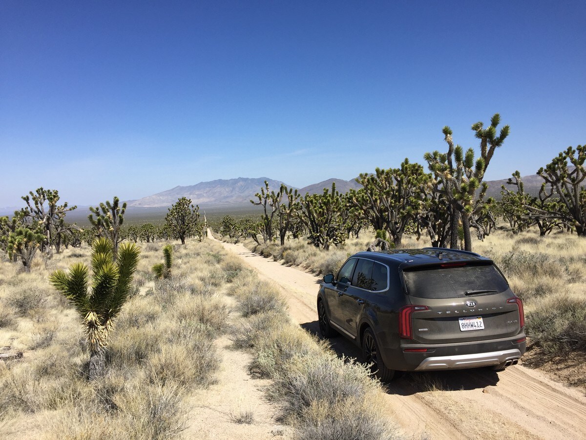 21 2020 Kia Telluride 1st Drive