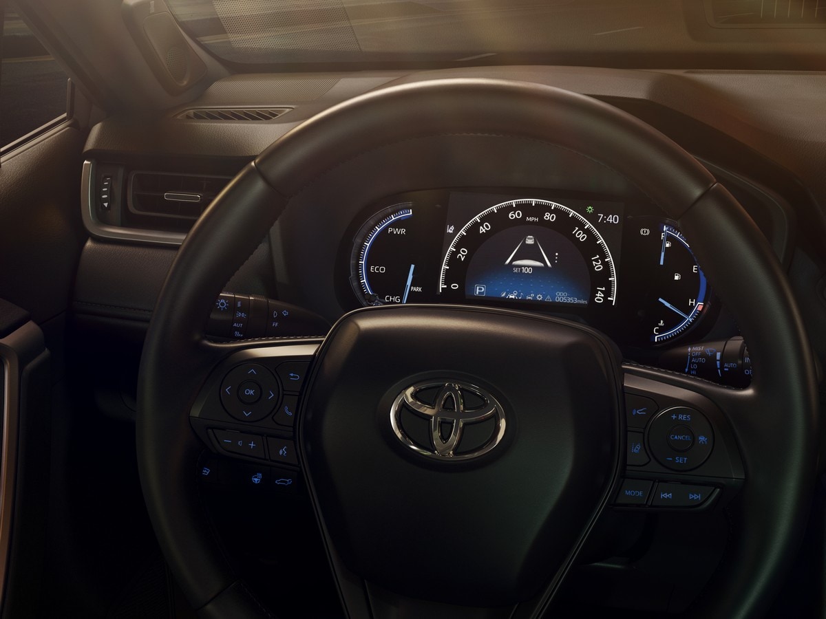 10 2019 Toyota Rav4 Oem