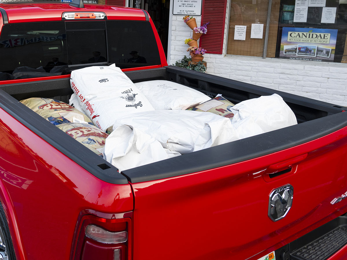 28 2019 Ram 1500 Kbb