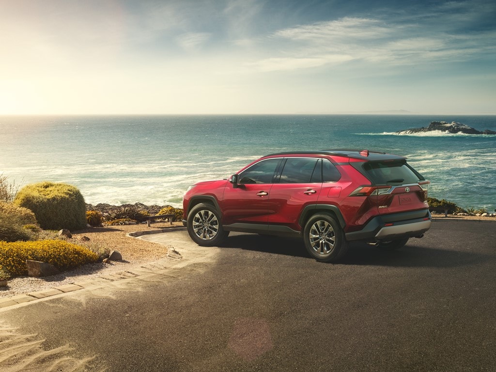 2a 2019 Toyota Rav4 Oem