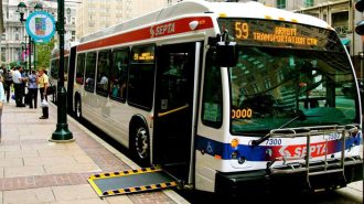 Public Transit Bus