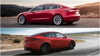 RT Tesla Model 3 Vs Tesla Model Y Rear Views