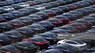 Tesla cars in parking lot