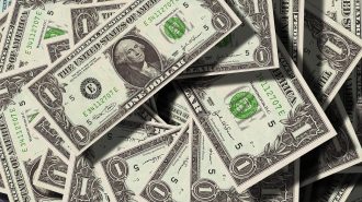 dollars