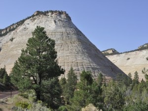 2020 Zion National Park 2