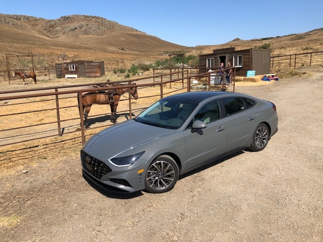 2020 hyundai sonata limited front stables