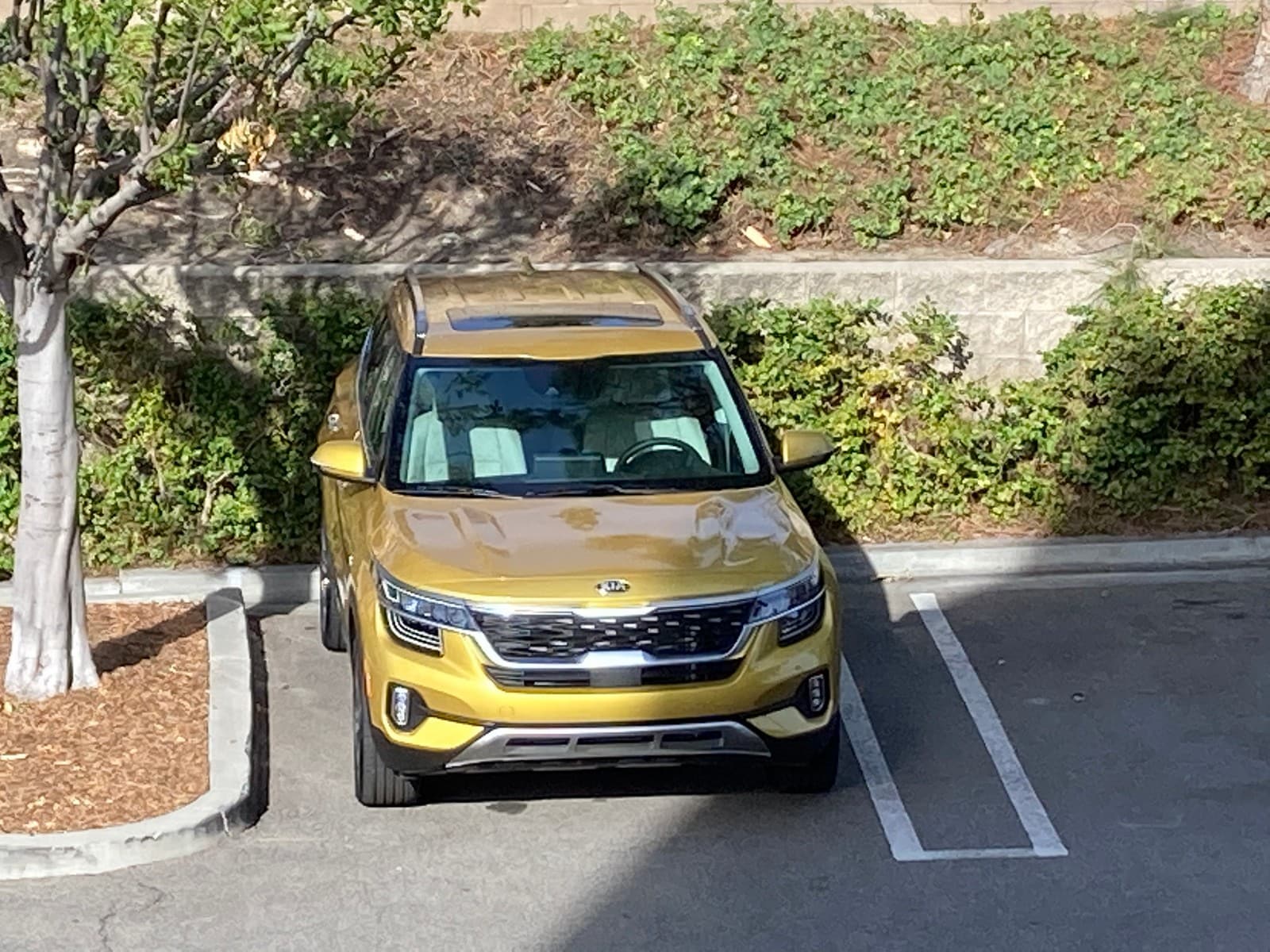 2021 Kia Seltos