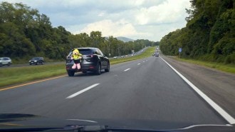 IIHS Teddy Bear Test
