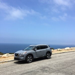 Rogue Palos Verdes
