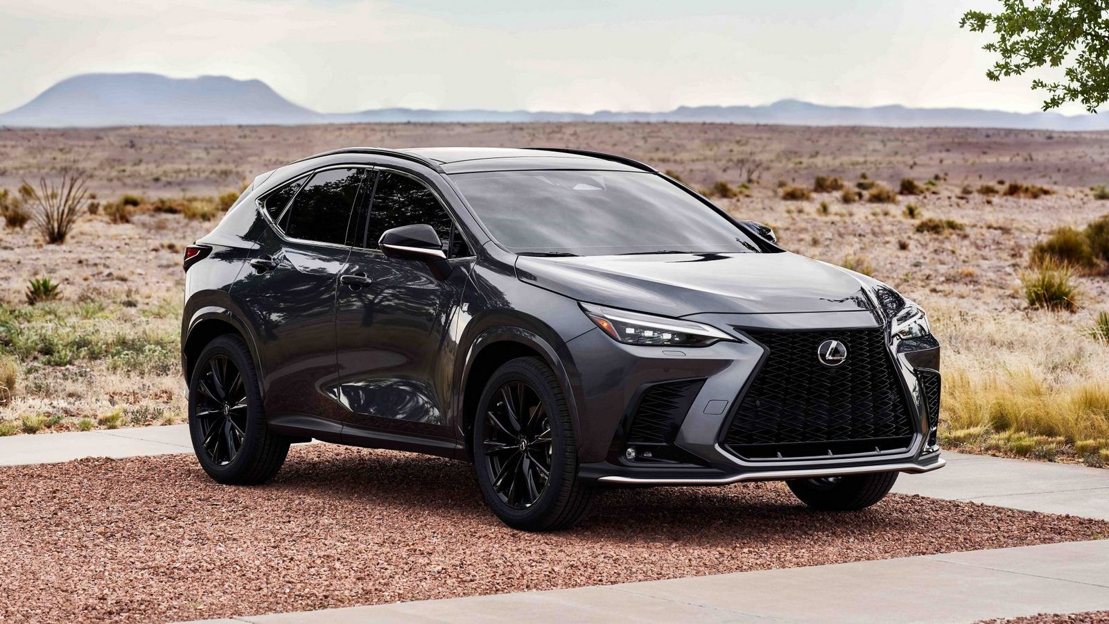 2022 Lexus NX F Sport