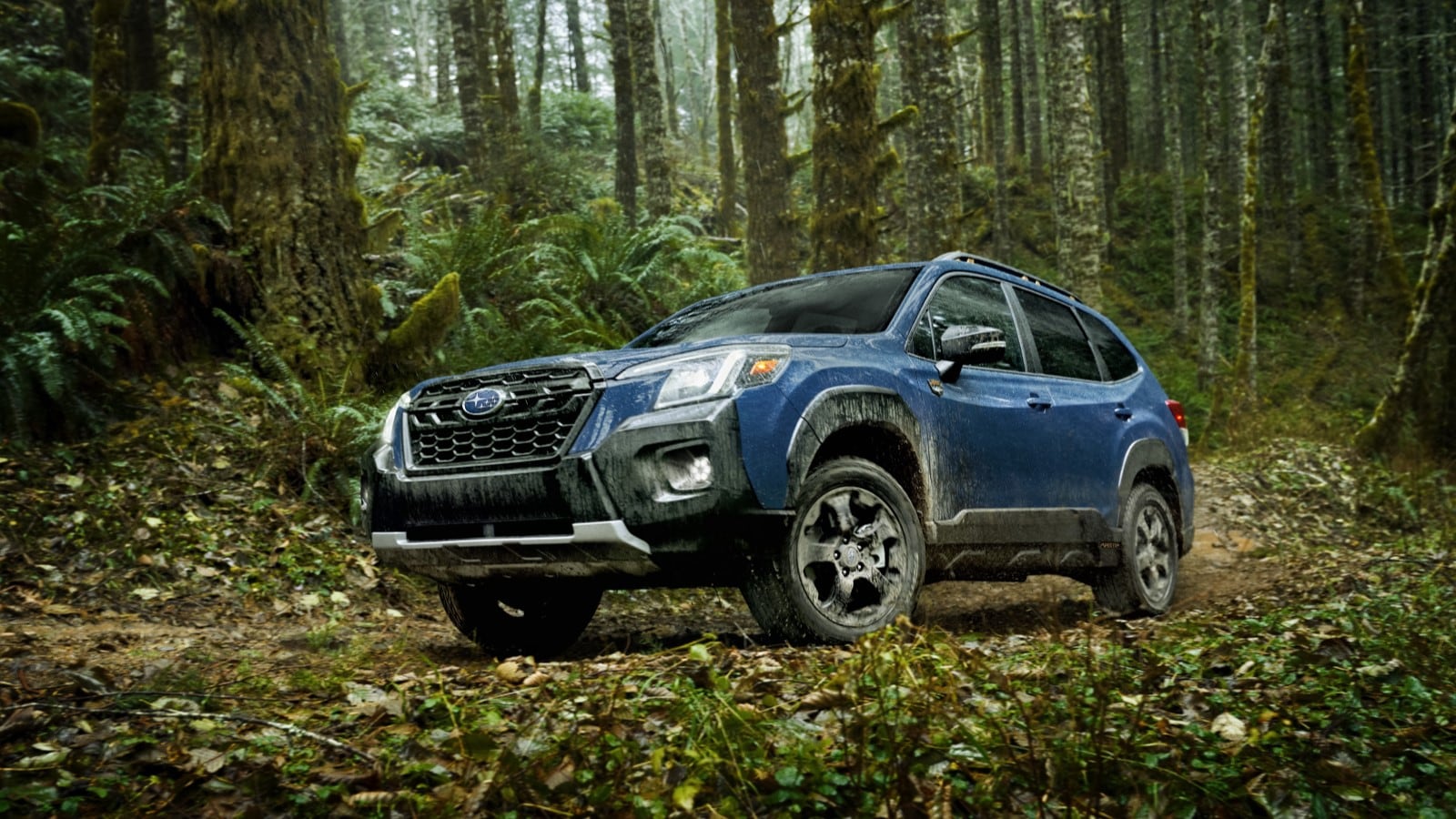 Subaru Forester 2025 Wilderness Gwen Pietra