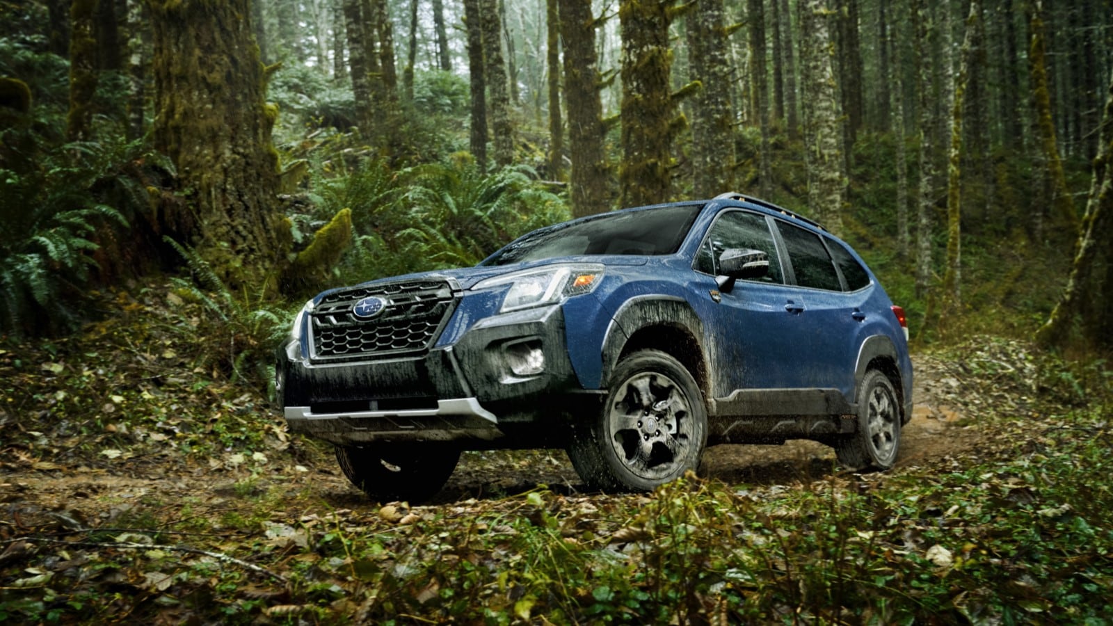 New Subaru Forester Wilderness is the Toughest Forester, Not the Most  Expensive - Kelley Blue Book