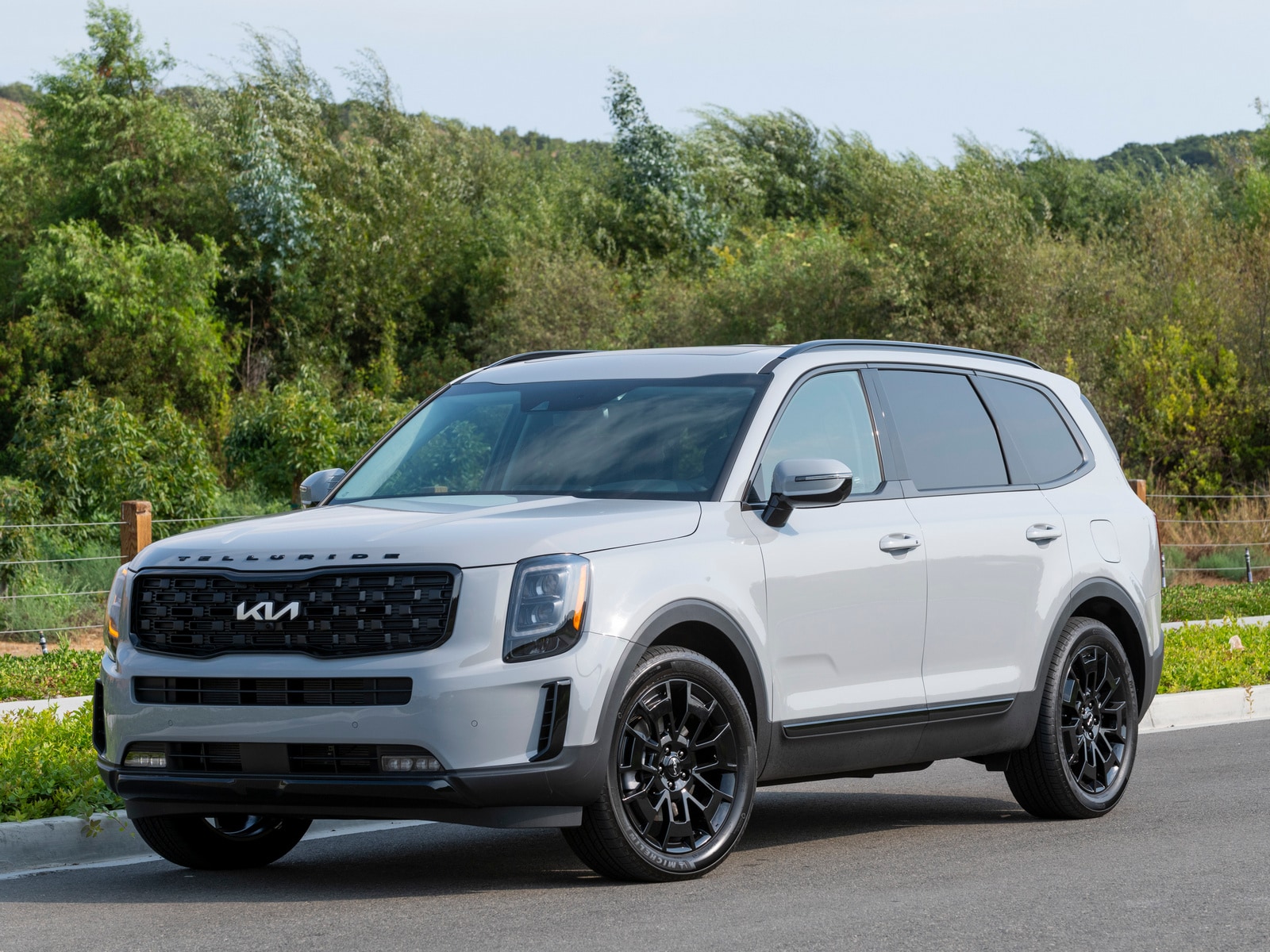 2022 Kia Telluride