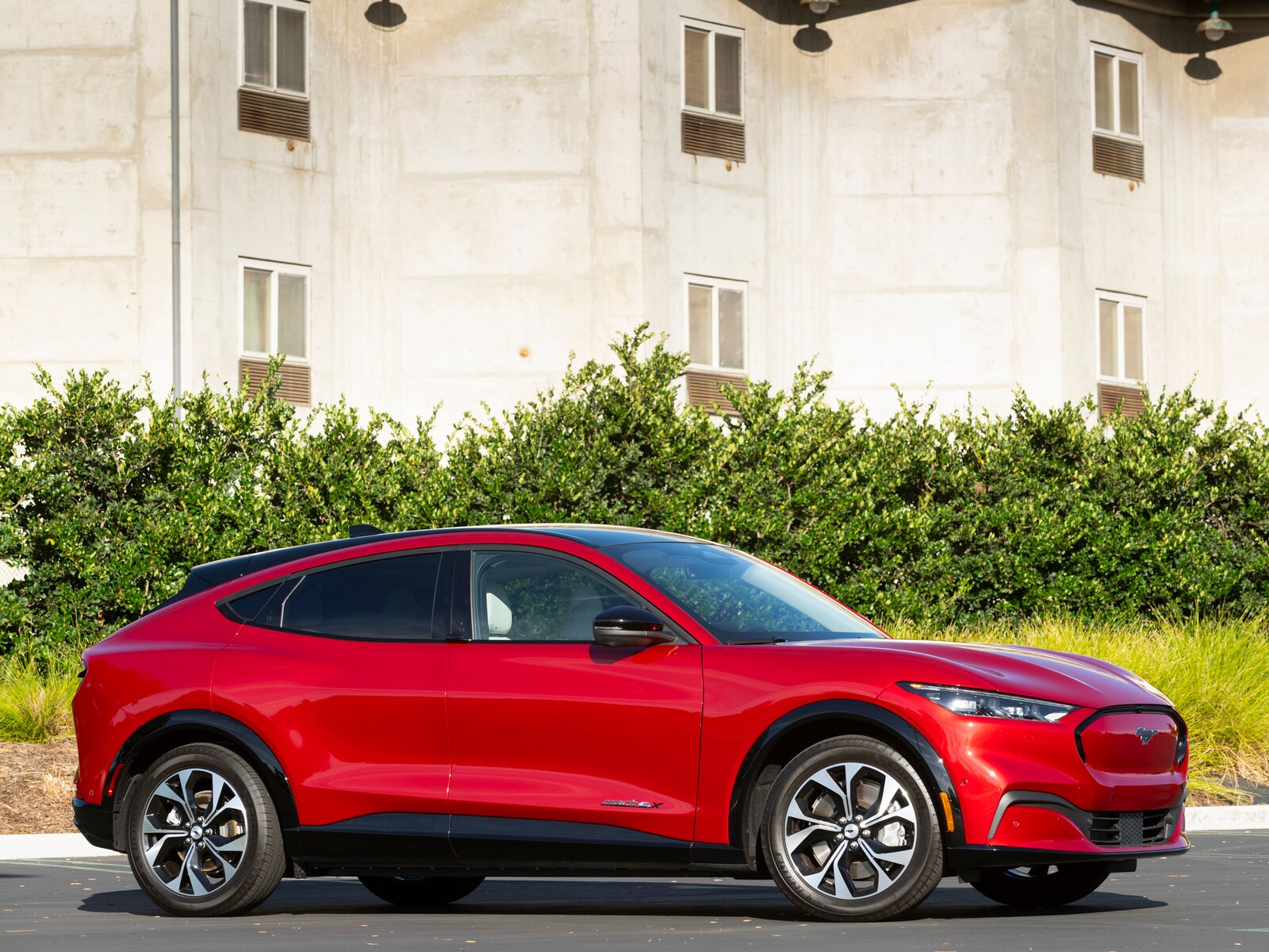 2021 Ford Mustang Mach-E