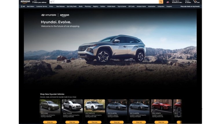 Hyundai Amazon 1