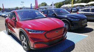 Ford Mustang Mach-E electric cars on a dealership lot