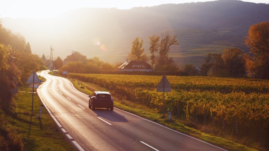 Mountain Road Trip Through The Vineyard