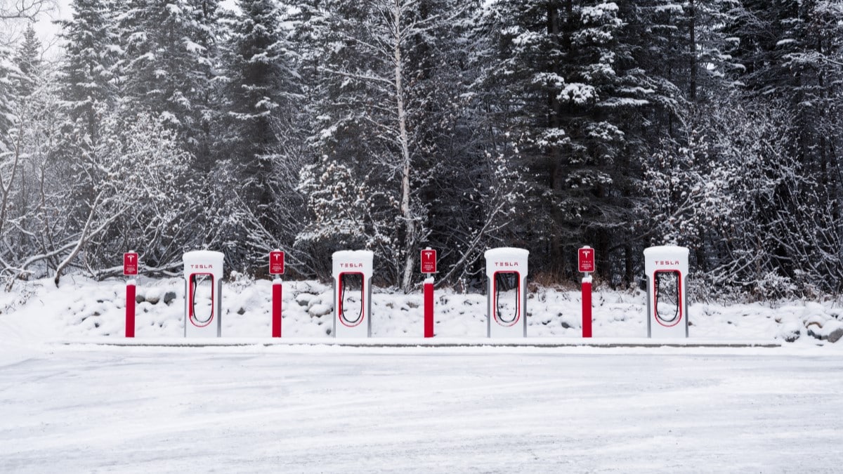 A row of four Tesla superchargers sits in the snow in front of a forest. They all sit unused.