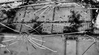 Car windshield with cracks