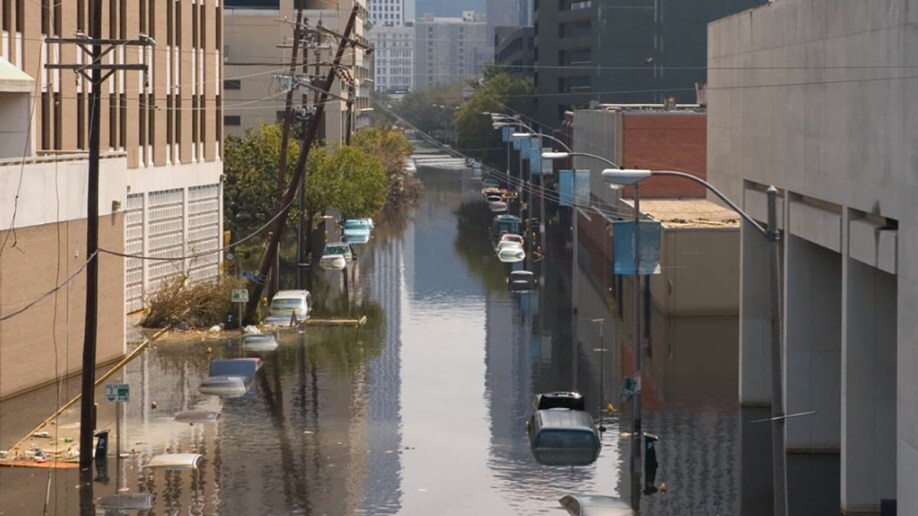 Flooded cars on a city street