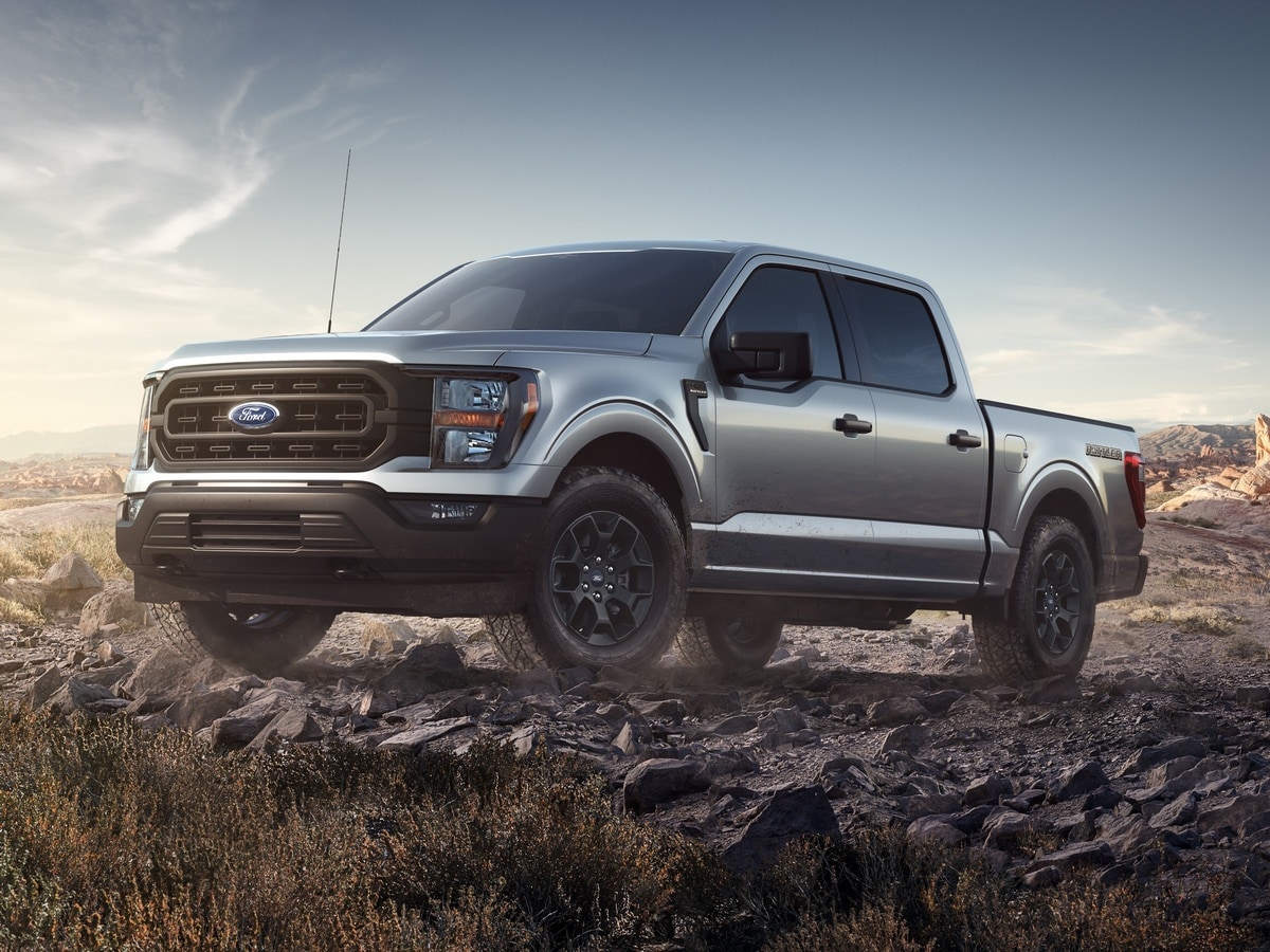 Silver 2023 Ford F-150 Rattler