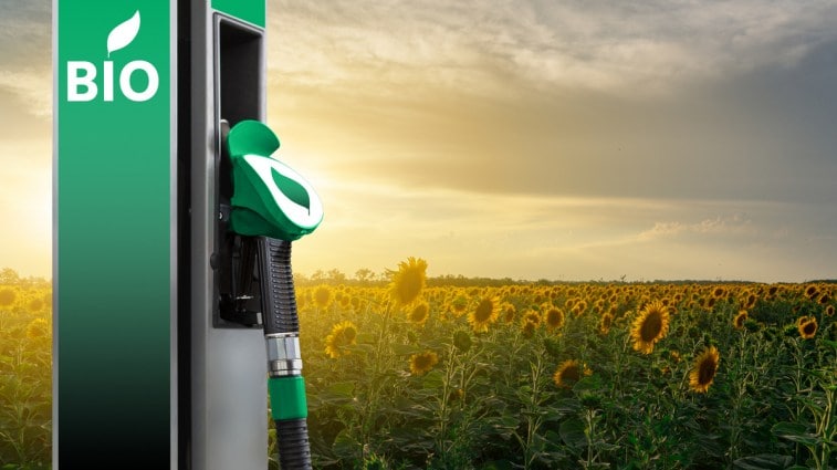 iStock image of biodiesel pump and sunflowers