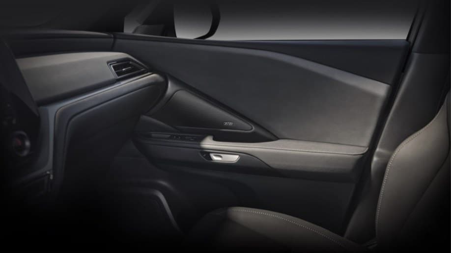 A teaser photo showing a door in the 2023 Lexus TX