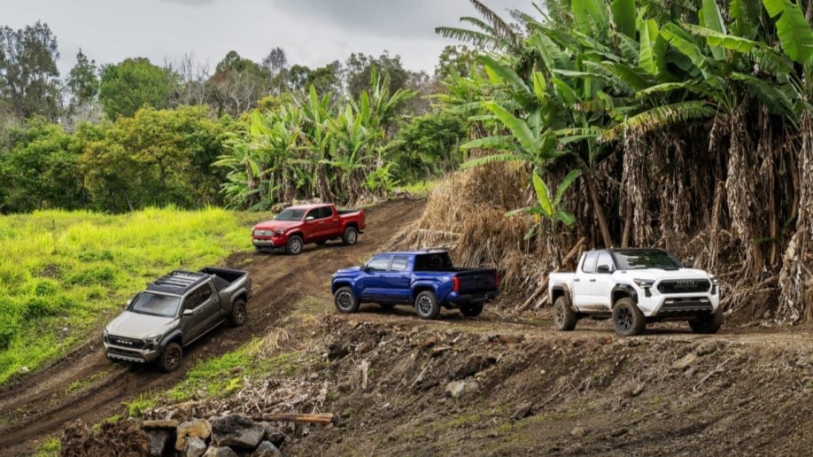 Much of the 2024 Toyota Tacoma lineup