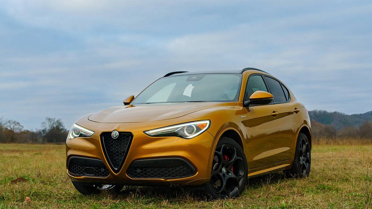 2023 Alfa Romeo Stelvio in mustard yellow.