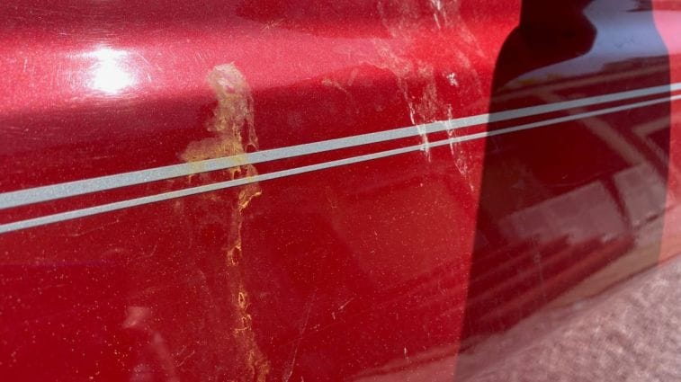 Car Paint with Baked on Bird Poop