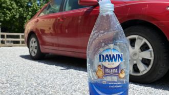 Dish Soap Car Wash