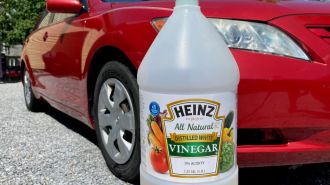 White Vinegar Cleaning Car Paint