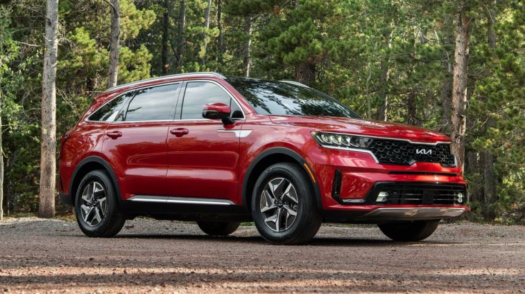 2024 Kia Sorento Hybrid in red in a forest.