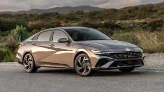 2024 Hyundai Elantra sedan in grey with shrubs in the background.