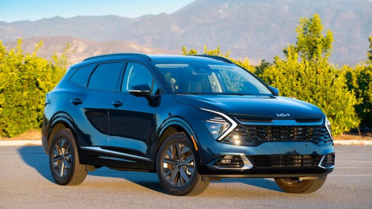 2024 Kia Sportage Hybrid with shrubs in the background.