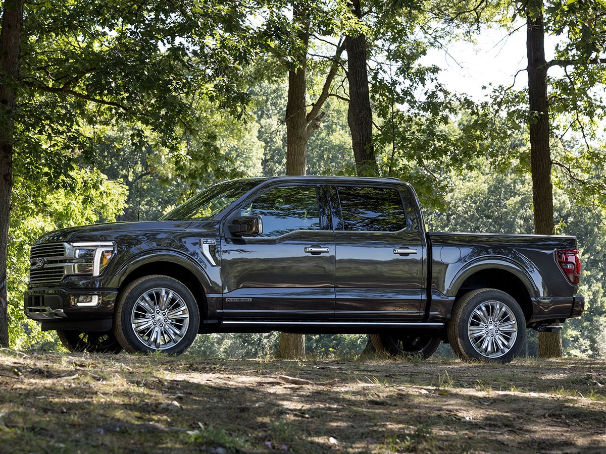 2024-ford-f-150-platinum-side