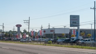 Several used car dealerships clustered together