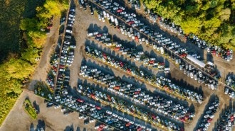 Used cars awaiting auction
