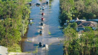 Typically, it's not safe to drive in flood waters.