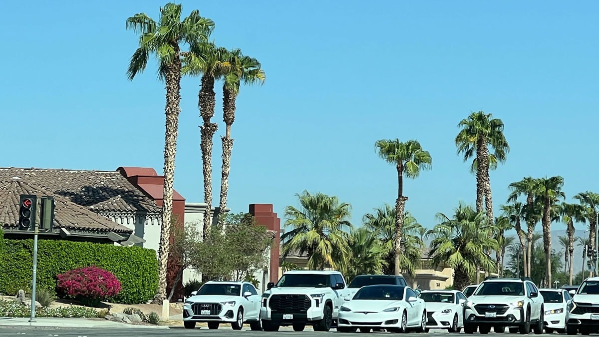 White cars at a traffic signal, lined up in California.